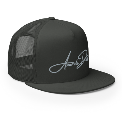 Script Logo Trucker Crwn - GRAY/GRAY